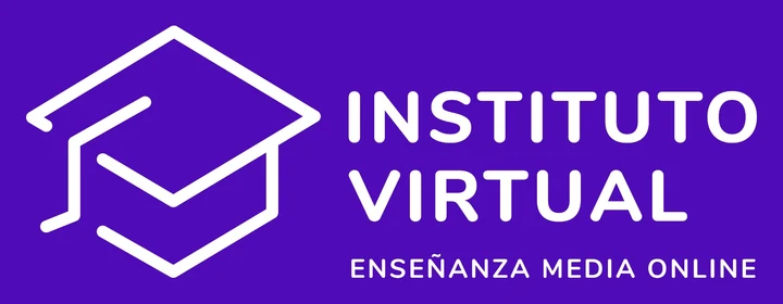 Instituto Virtual